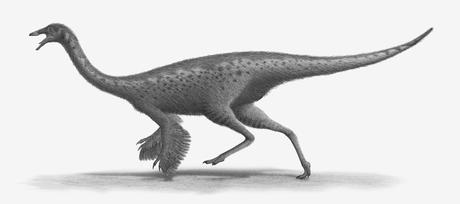 Gallimimus Steveoc86.jpg