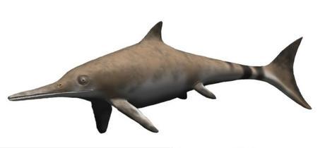 Ichthyosaurus BW.jpg