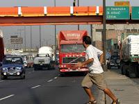 La inquietante bacteria que manipula la voluntad humana