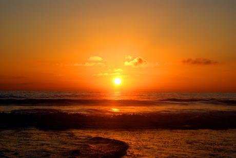 MATANZA DE BALLENAS Y DELFINES EN LAS ISLAS FEROE MATANZA DE BALLENAS Y DELFINES EN LAS ISLAS FEROE