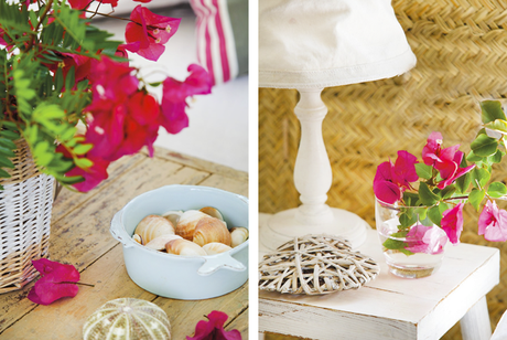 Luz y color en Formentera Luz y color en Formentera