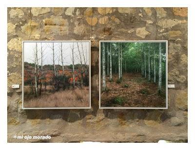 Paisajes que dejan huella. Exposición de Guillermo Sedano