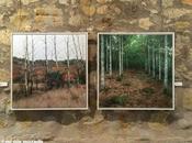 Paisajes dejan huella. Exposición Guillermo Sedano