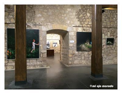 Paisajes que dejan huella. Exposición de Guillermo Sedano