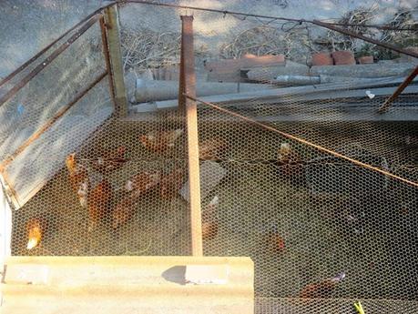 turismo rural, casa rural, alpatró, vall de la gallinera, casa de baix, el castellot, blog solo yo, solo yo, blog diario