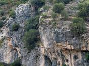 Turismo Rural: Alpatró. Casita Baix. vacaciones Parte