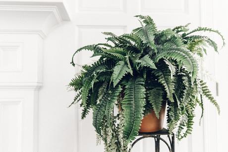 Revolve_In_The_Hamptons-Denim_Skirt-Ripped-Grey_Top-Collage_Vintage-16