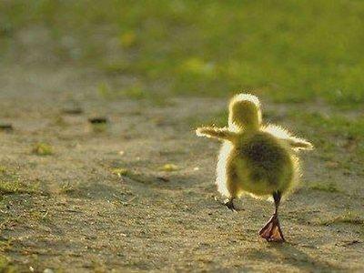 Hoy y ahora es el momento para tomar ese primer paso Hoy y ahora es el momento para tomar ese primer paso