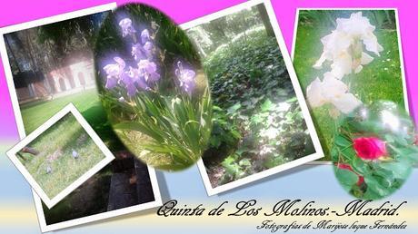 Naturaleza en todo su explendor Naturaleza en todo su explendor