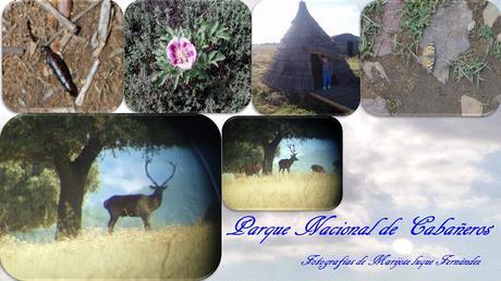 Naturaleza en todo su explendor Naturaleza en todo su explendor