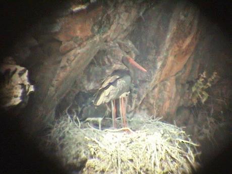 Naturaleza en todo su explendor Naturaleza en todo su explendor