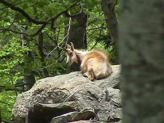 Naturaleza en todo su explendor Naturaleza en todo su explendor