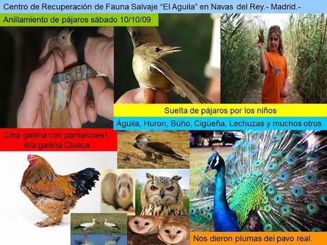 Naturaleza en todo su explendor