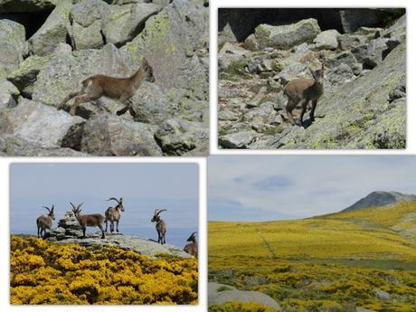 Naturaleza en todo su explendor