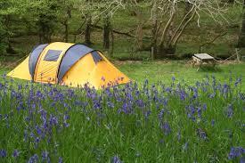 sueño con camping