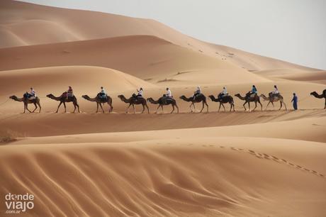 Caravana de camellos en el Sahara de África