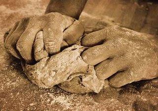 Levaduras que ayudan a entender fenómenos evolutivos