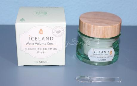 THE SAEM | ICELAND | WATER VOLUME CREAM - Piel Grasa