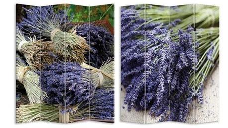 paraban-foto-lavanda