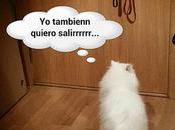 Estamos Agustito CVII. tambien quierooo... #funny