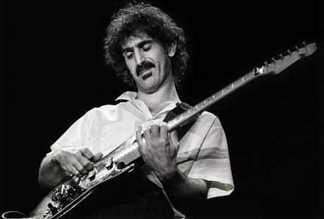 Fender bass frank zappa