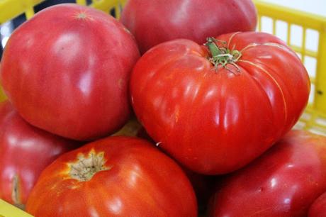 Ensalada de tomates (de verdad) con calamares a la plancha