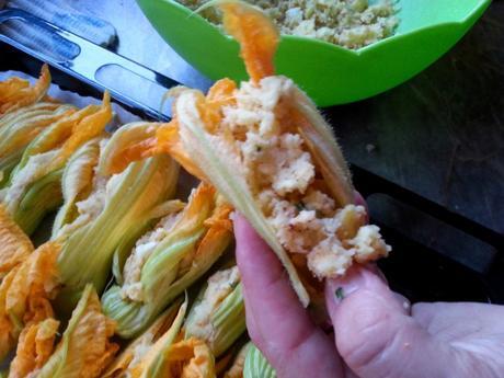 Flor de calabacín rellenas – Flor de calabacín relleno de patatas y queso – Fiori di zucca ripieni flordecalabacinrelleno2