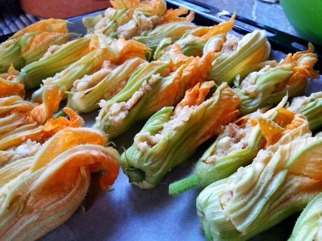 Flor de calabacín rellenas – Flor de calabacín relleno de patatas y queso – Fiori di zucca ripieni flordecalabacinrelleno3