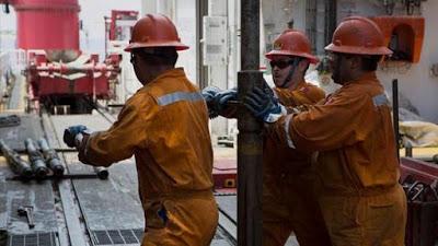 La ley de la jungla en Hollywood