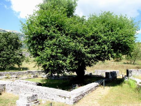 Dodona, Templo de Zeus
