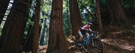 Giant revela los detalles de su gama para mujeres Liv 2016