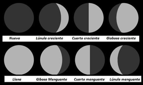 Fases de la Luna