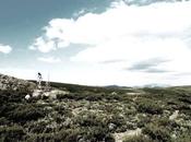 ideas somos hojas lleva viento