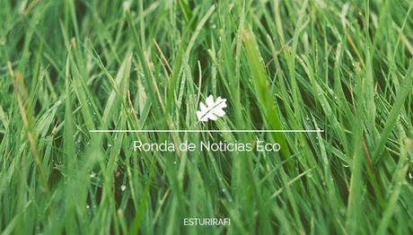 Ronda de Noticias Ecologicas y de medio ambiente