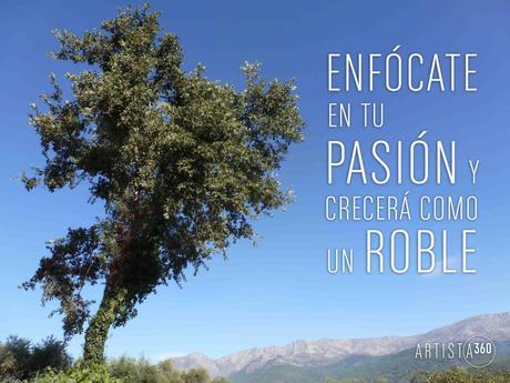 Lo que necesitas para que tu proyecto crezca como un roble Lo que necesitas para que tu proyecto crezca como un roble