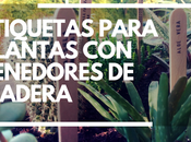 Etiquetas para plantas tenedores madera