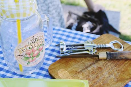 Cómo organizar un buen picnic de verano