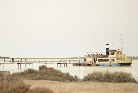 Doñana National Park