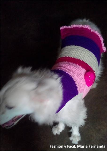 Una perrita muy bien vestida con crohet (A well dressed babydog)