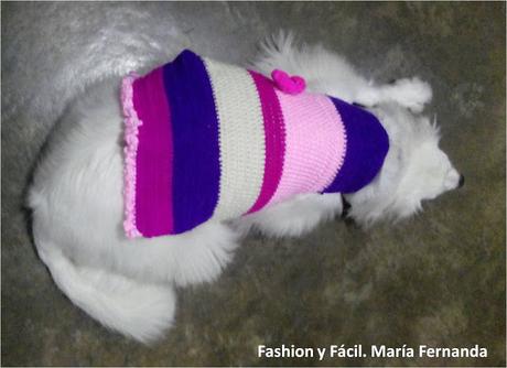 Una perrita muy bien vestida con crohet (A well dressed babydog)
