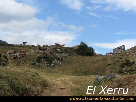 Ruta Ventaniella, Ten y Pileñes: El Xerru