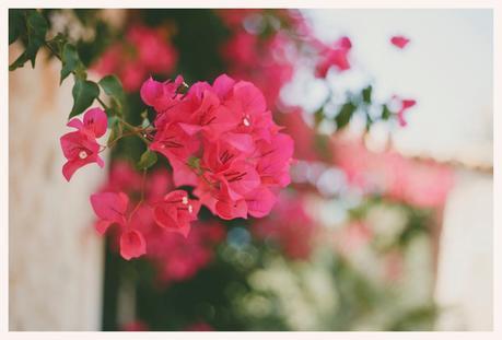 VINTAGE WEDDING IN MALLORCA - LA BODA DE D&H