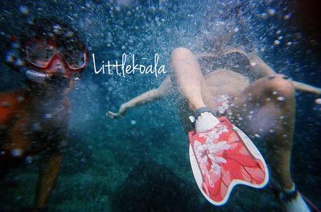 Hoy compartimos: verano Hoy compartimos: verano