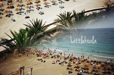 Hoy compartimos: verano Hoy compartimos: verano