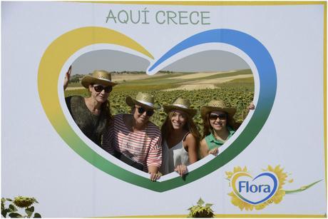 campos girasoles Fora