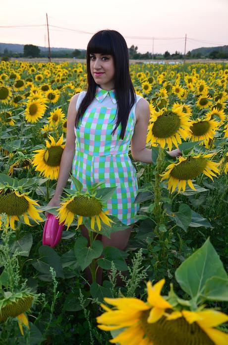 Entre girasoles!!!