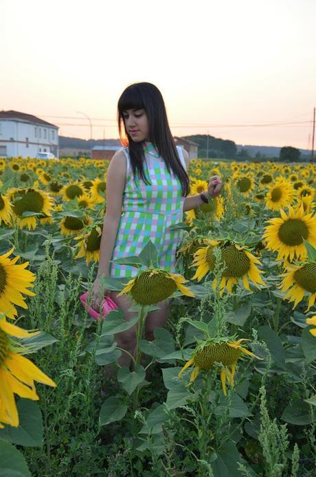 Entre girasoles!!!