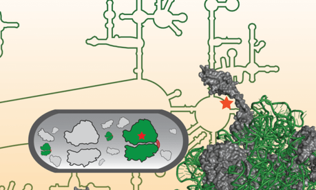 La biología sintética logra la primera fábrica de proteínas artificial