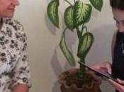 desapego relación pareja