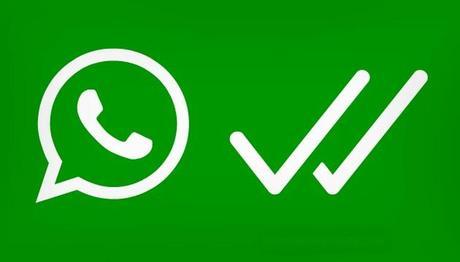 Grupo WhatsApp venezolano